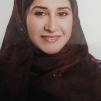 Sara Mustafa Elmohamady